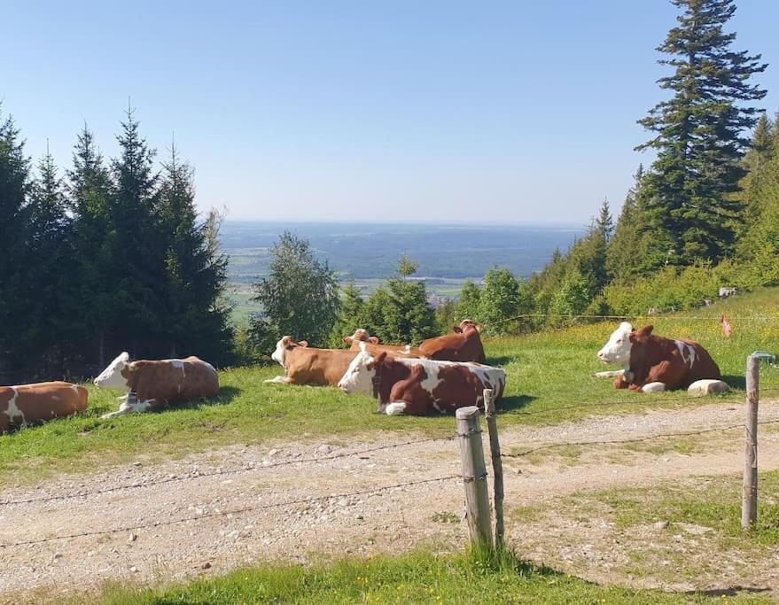 Romantisches Alpenchalet - Mit Sauna Und Kamin - Ruhig Und Zentral Bad Tölz Extérieur photo