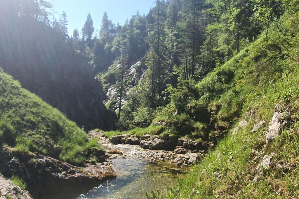Romantisches Alpenchalet - Mit Sauna Und Kamin - Ruhig Und Zentral Bad Tölz Extérieur photo